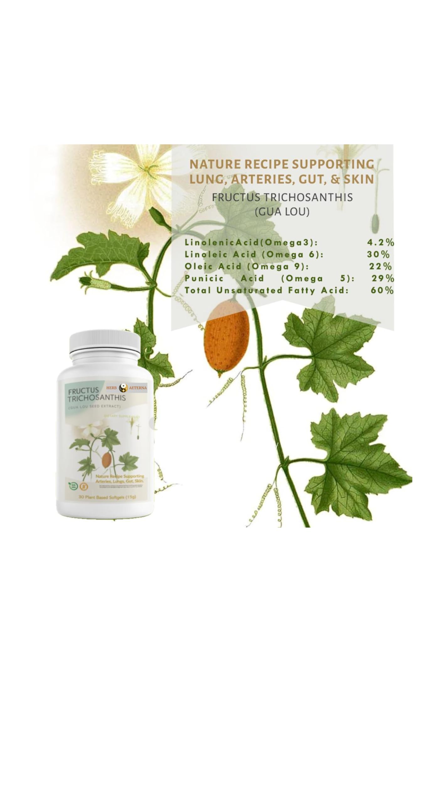 Herb Aeterna Fructus Trichosanthis (Gua Lou Seed Extract) Dietary Supplement, 30 Plant Based Capsules (15 g), Non-GMO